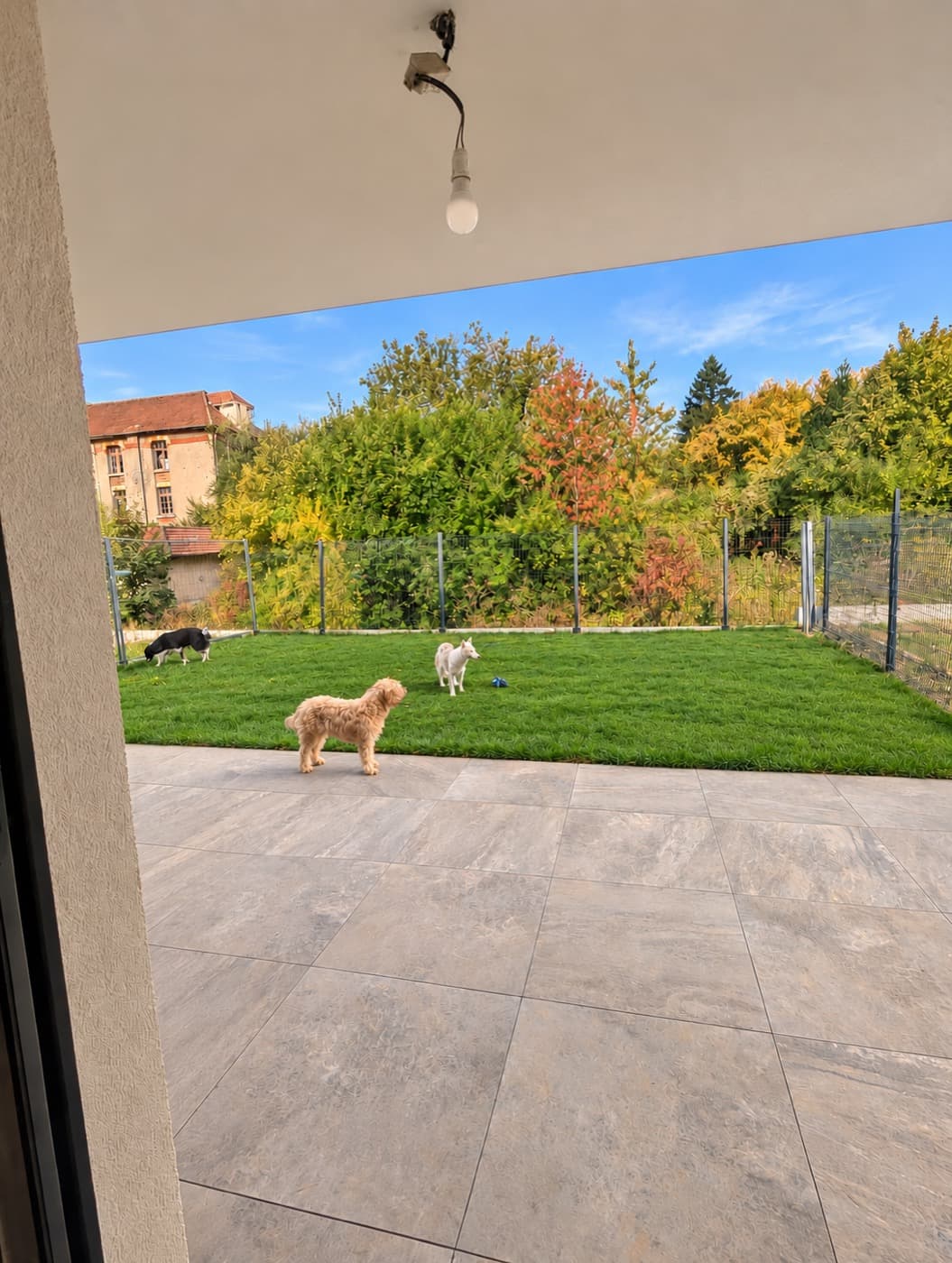 Trois pensionnaires dans le jardin clos, vu depuis la terrasse couverte